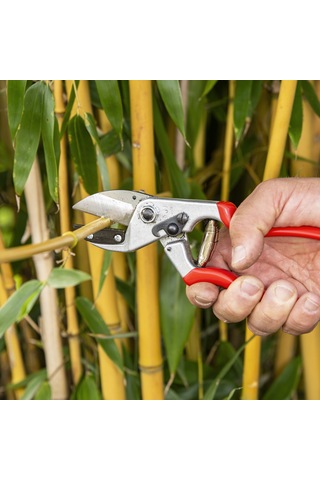 Felco 31 Budama Makası - 110235 Sağ By-Pass