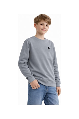 Baglan Erkek Çocuk Sweatshirt Bgl-st05228 Gri