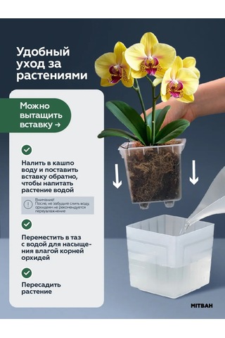 Mıtbah Şeffaf Kare Orkide Saksısı, 2 Adet, 1,2 L 399165392