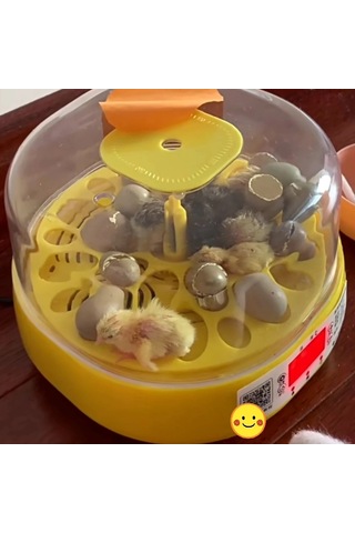 Tam Otomatik Ev Tipi Kuluçka Makinesi Isı Ve Nem Ayarlı Gün Sayaçlı