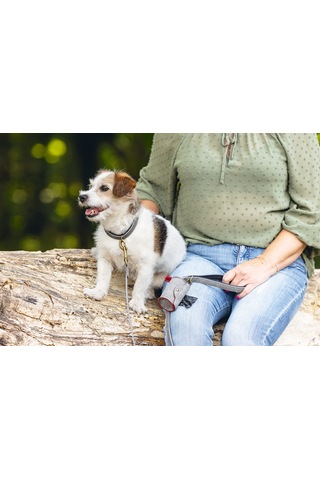 Beeztees Köpek Dışkı Toplama Poşeti Taşıma Çantası, Gri, 8x5x5cm