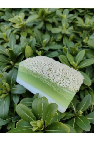Doğal Kabak Lifli Sütlü Aloe Vera Sabun
