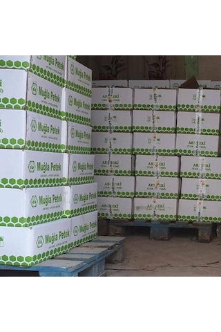 Avrasya Arıcılık Muğla Petek Arı Keki 20 Kg