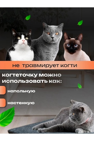 Dovol'nyj Pusistik Kedi Tırmalama Tahtası Yer Yatağı 330181802