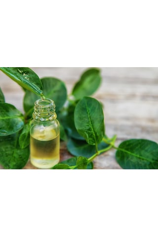 Egeden Her Yere Defne Yaprağı Yağı 10 ML