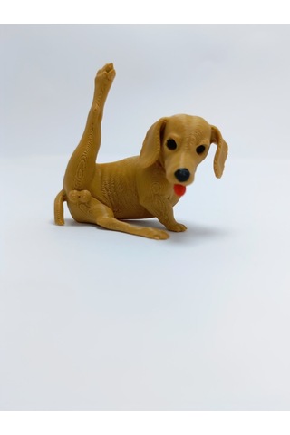 Temizlenen Sosis Köpek Magnet