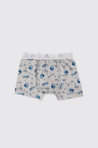 Panço Erkek Çocuk 3'lü Boxer Set 2612bk14001 Renkli