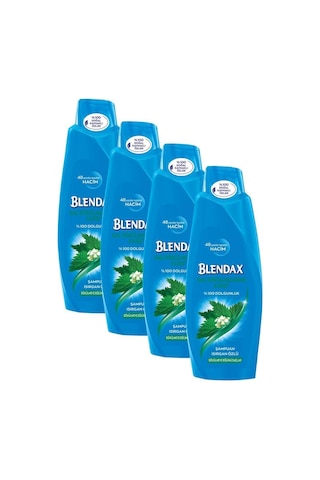 Blendax Saç Dökülmelerine Karşı Isırgan Özlü Şampuan 4 x 500 ML