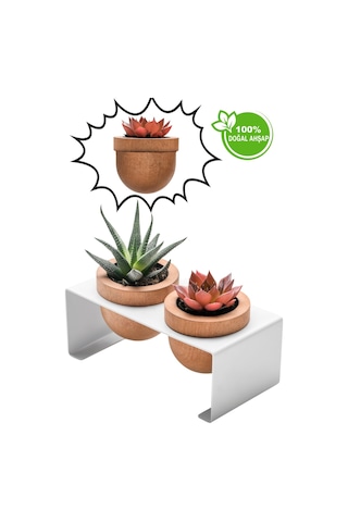 Halohope Metal Stantlı 2'li Skulent Saksısı Beyaz Saksılık