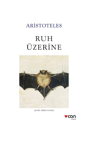 Ruh Üzerine