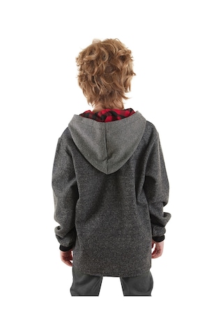 Erkek Çocuk Kışlık Dinozor ve Ekose Desenli Gri Kapüşonlu Uzun Kollu Sweatshirt 2-7 Yaş