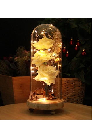 Premium Solmayan Gül Işıklı Cam Fanus Ahşap Standlı Beyaz Mega Boy