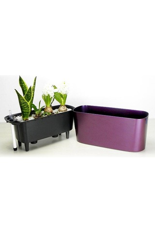 Suntek Magideal Kendinden Sulama Ekici Saksı Kapalı Açık Ev Bahçe Mor