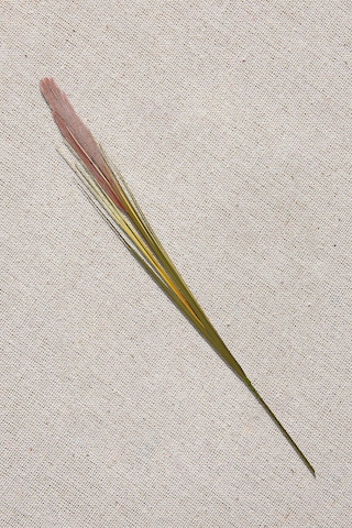 Pasabahce Grass Turuncu / Bej 92 Cm - 1 Adet