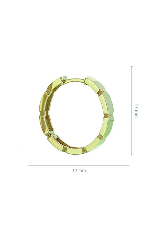 Reis Kuyumculuk T10520 Mahal Pure Earrings Altın Küpe
