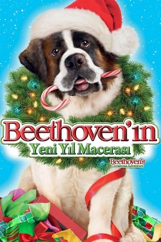 Beethoven'ın Hazine Macerası DVD
