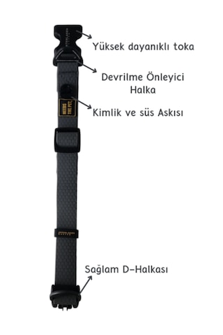 Interlaken Su Geçirmez Sağlam Gri Köpek Boyun Tasması L Beden Gri