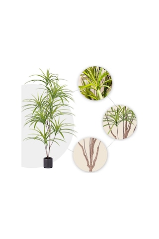 Yapay Ağaç Dracaena Ağacı 8Gövdeli 180cm Premium Kalite