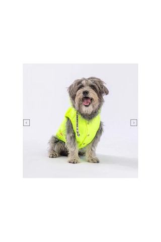 Stupid Yeşil Nakışlı Şirin Köpek Kıyafeti