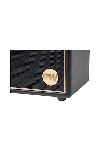 Peaq Iconic Vibe 3 - PPA 550-RW Robbie Williams Edition 60 W Bluetooth Hoparlör