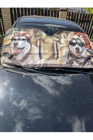 D.kovalev 140 X 70 Cm Ön Cam Güneşliği 249485092