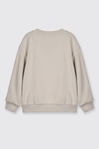 Panço Erkek Bebek Kol Üstü Şerit Detaylı Taş Sweatshirt Gri