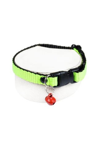 Neon Zilli Kedi Tasması Fıstık Yeşili Boyun Tasma Ayarlı