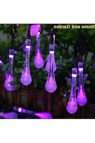 Pazly Güneş Enerjili Solar Mor Led Işık Dekoratif Aydınlatma 30 Sn -