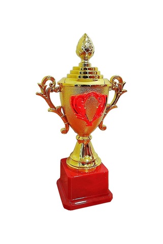 Özel Üretim Ev Dekor Seçenek H11-023 Kupa 28 Cm A