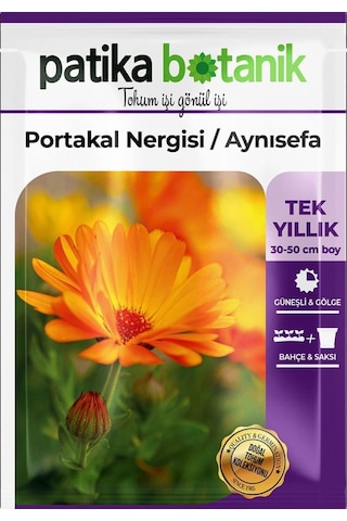 30 Adet Portakal Nergisi - Aynı Sefa Çiçek Tohumu