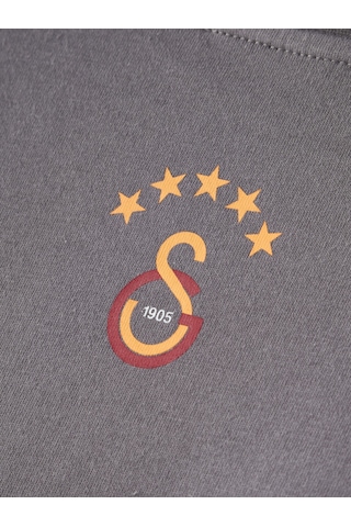 Gsstore Galatasaray Erkek T-shirt E261084 Koyu Gri