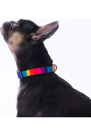 Pawstar Rainbow Boyun Tasması M Boyun Çevresi: 32 Cm X 48 Cm Çok Renkli