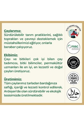 Çilekli Ice Tea Soğuk Demleme 20 Adet