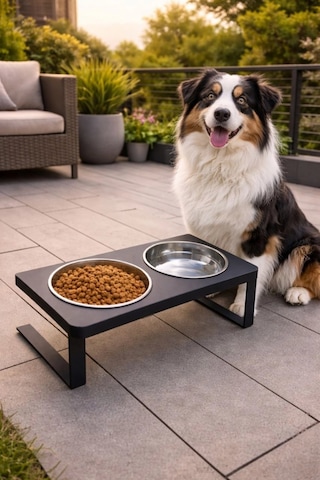 Reyo Ok-ay Store Radessa Xl Yüksek Standlı Çift Hazneli Mama Ve Su Kabı, Büyük Ve Orta Boy Köpek Ve Kedi Su Kabı Paslanmaz Çelik Siyah