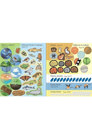 The Usborne Little Childrens Activity Book Nature