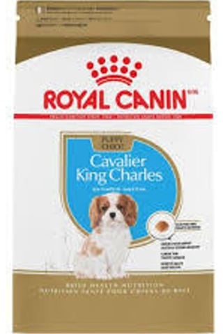 Royal Canin Cavalier King Charles Junior Yavru Köpek Maması 1.5 KG