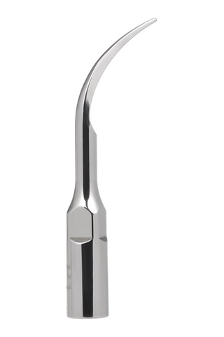 Wezone Ems Woodpecker İçin 10 Adet Paslanmaz Çelik Diş Ultrasonik Skaler Başlığı P1 Modeli