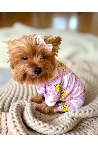 Teddy Toad Penye Köpek Tulum Pijama