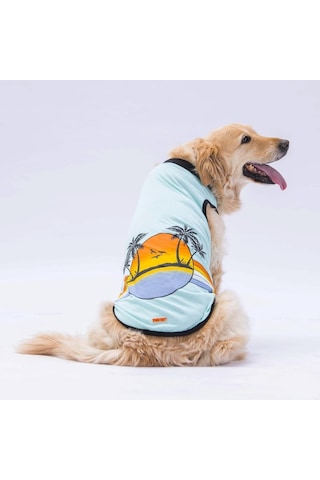 Pawstar Mint Sunrise Büyük Köpek Tişörtü Köpek Kıyafeti
