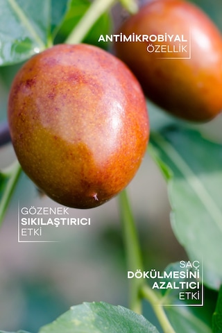 Tto Thermal Jojoba Yağı 10 Ml – Doğal Nem Koruyucu & Cilt Besleyici Yağ