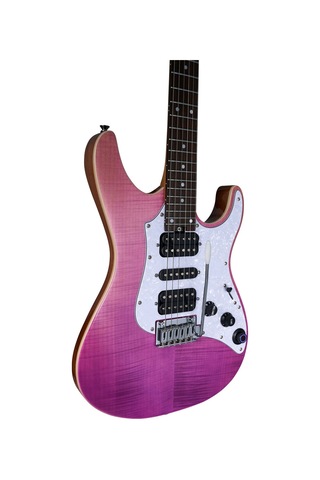 Gtrs Sl810prbr Elektro Gitar Entegre Efekt Prosesörlü