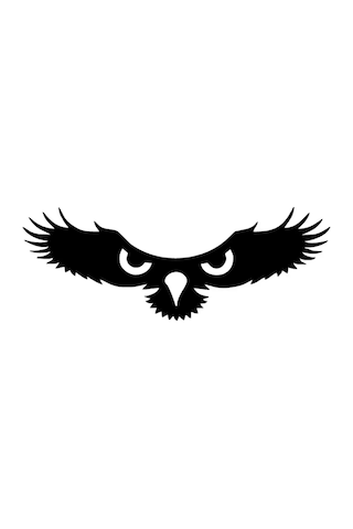 Kartalın Gözleri Duvar Dekor Sticker 40 X 16 Cm