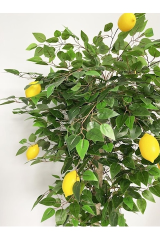 Yapay Limon Ağacı 180Cm Doğal Görünümlü Yapay Ağaç