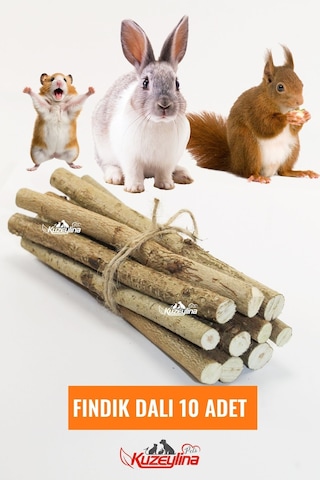 Kemirgenler İçin Fındık Dalı - 10 Adet