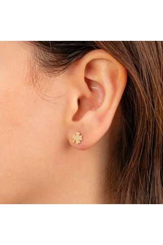 Altın Küpe - 14 Ayar Altın Minimal Yonca Yaprağı Küpe Sarı