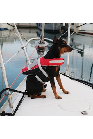 Lalizas Köpek & Kedi Can Yeleği
