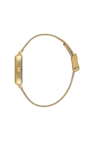 Daniel Klein Dk.1.14054-4 Gold