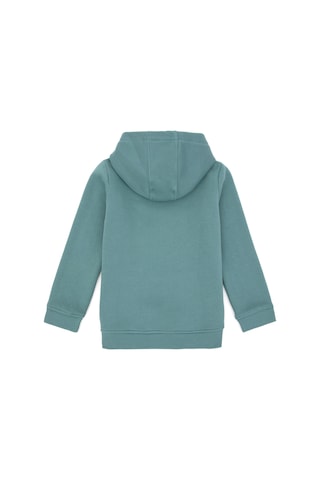 U.S. Polo Assn. Kız Çocuk Mint Kapüşonlu Basic Sweatshirt 50296388-VR090
