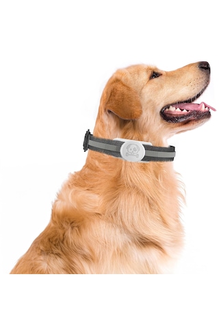 Buff Tagsafe Dogcol Taşınabilir Anahtarlık Apple Uyumlu AirTag Kılıf White