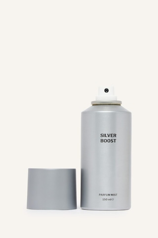 Defacto Erkek None Silver Boost Vücut Spreyi I5056axnssr3